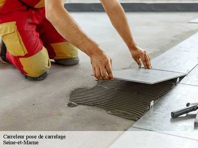 Carreleur pose de carrelage Seine-et-Marne 